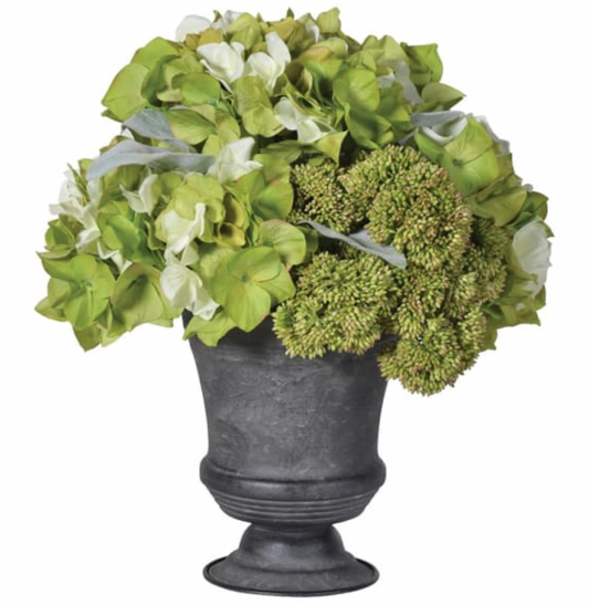 Hydrangea in Ceramic Urn