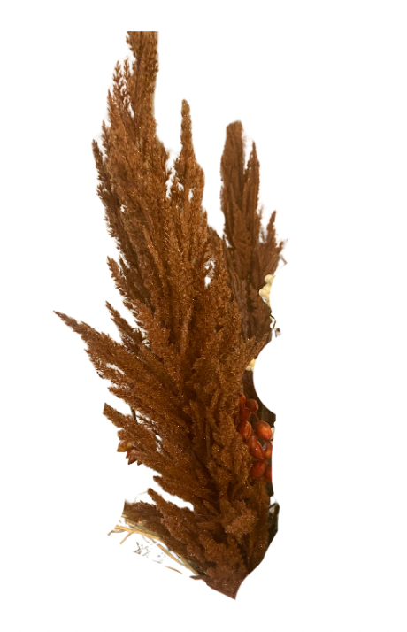 Orange Faux Amaranth Stem