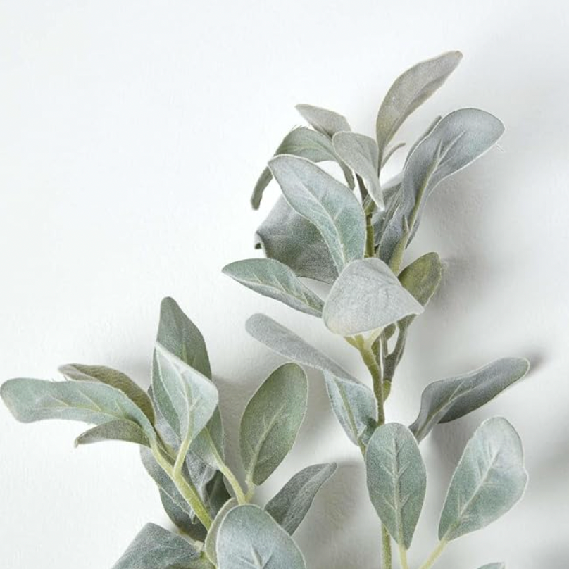 DRAKELOW SHOWHOME SPRUCE LAMBS EAR SPRAY