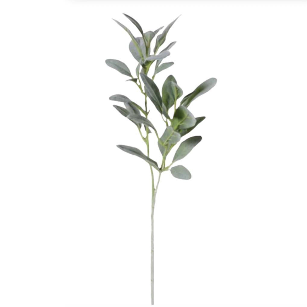 Tall Lamb's Ear