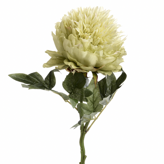 Green Peony