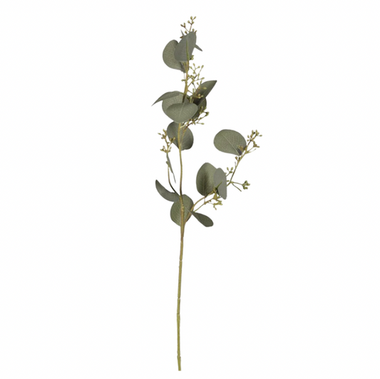 Eucalyptus Leaves with Berries Spray