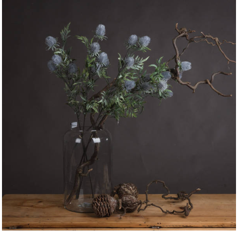 Eryngium Blue Thistle