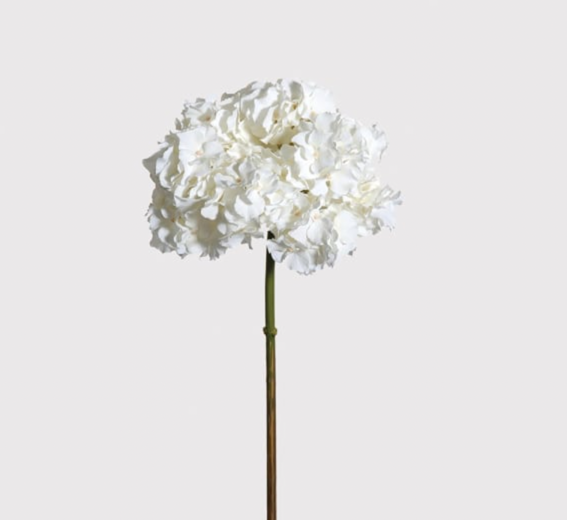 Faux White Hydrangea Elegant with No Leaves