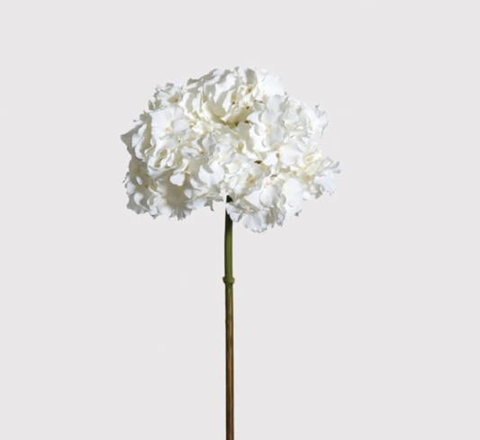 Faux White Hydrangea Elegant with No Leaves