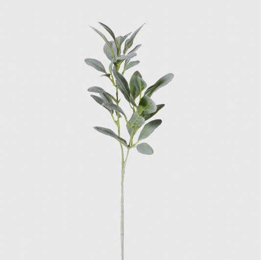 DRAKELOW SHOWHOME SPRUCE LAMBS EAR SPRAY