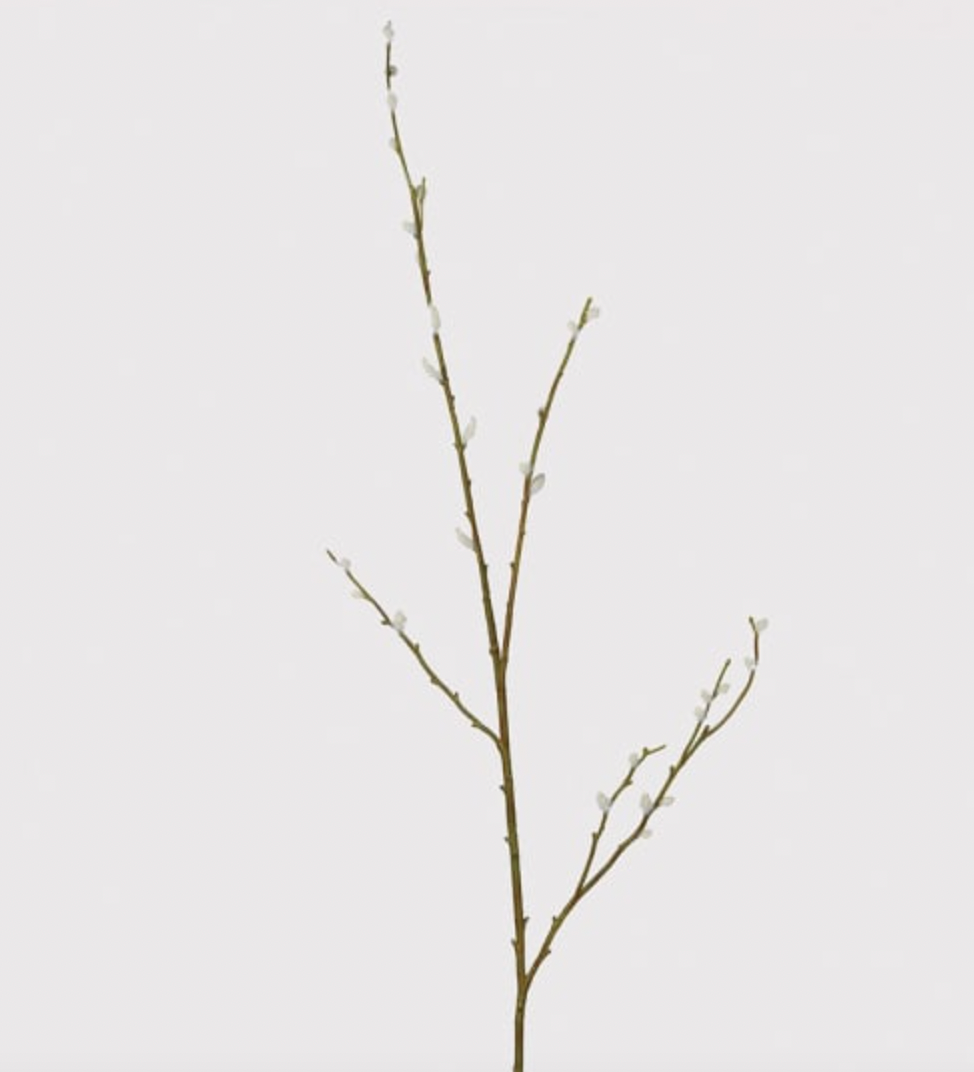 BROOKWORTH SHOWHOME BRAEBURNS STEMS