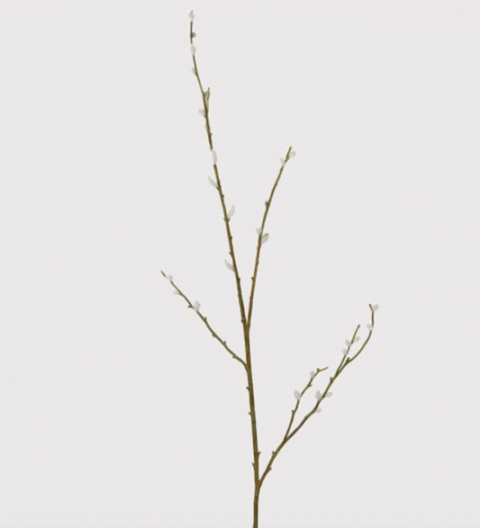 BROOKWORTH SHOWHOME BRAEBURNS STEMS