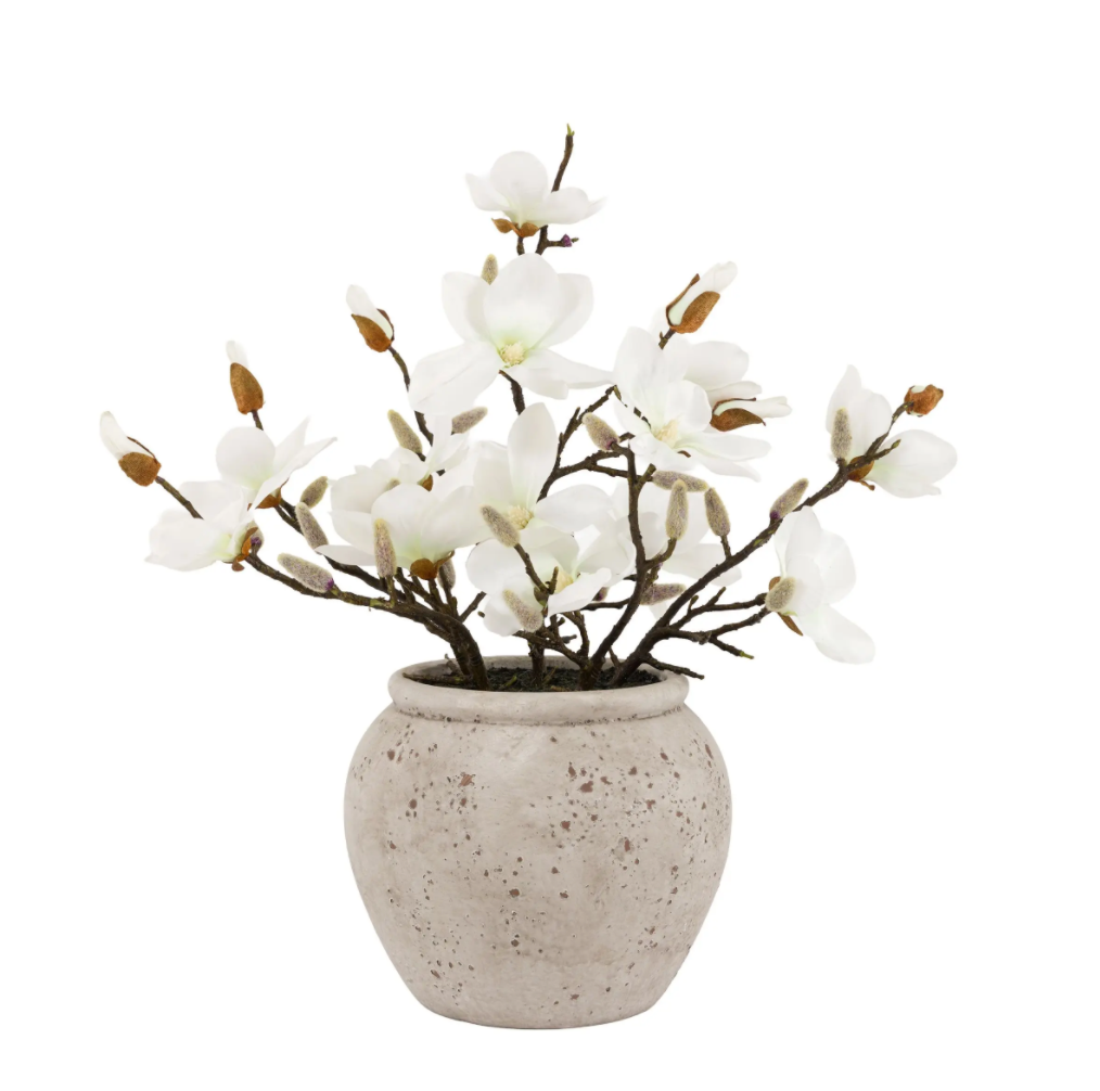 Magnolia Vase Arrangement