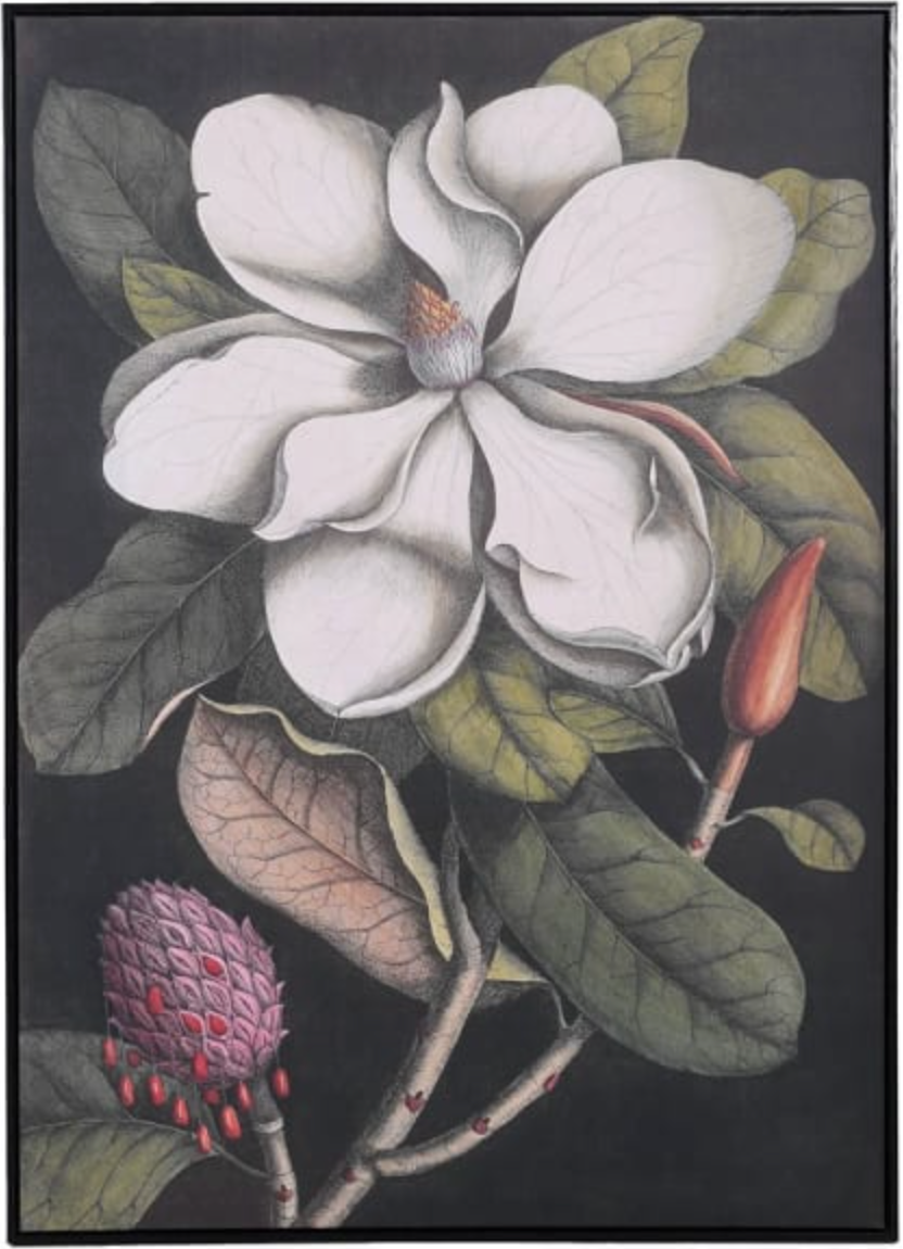 Magnolia Framed Picture