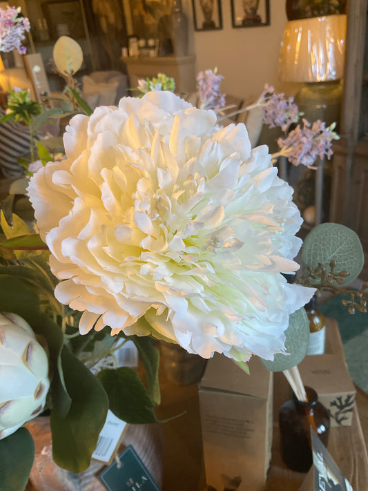 White Peony Stem